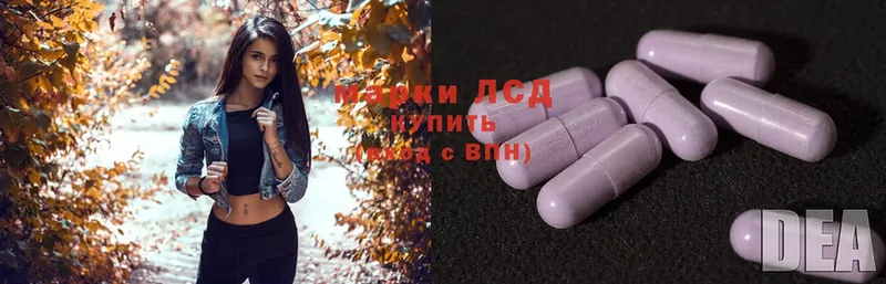 Лсд 25 экстази ecstasy  наркошоп  Мураши 